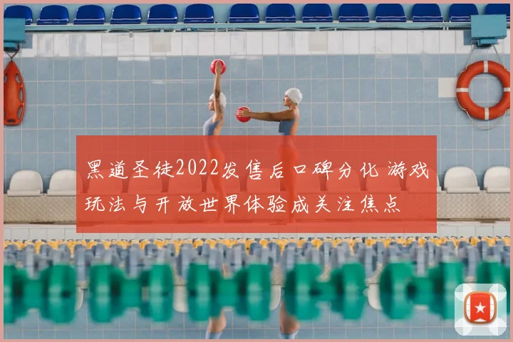 黑道圣徒2022发售后口碑分化 游戏玩法与开放世界体验成关注焦点