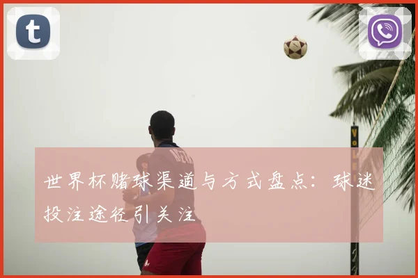 世界杯赌球渠道与方式盘点:球迷投注途径引关注