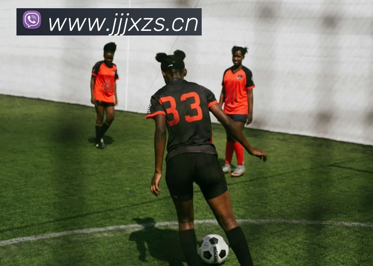 App Interface Preview